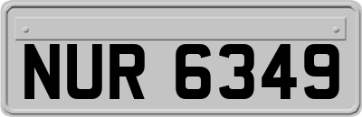 NUR6349