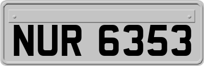 NUR6353
