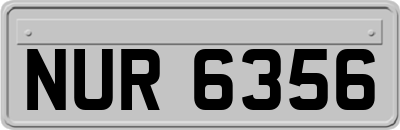 NUR6356