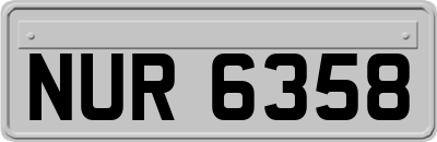 NUR6358