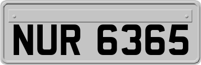 NUR6365