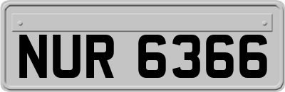NUR6366
