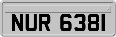 NUR6381