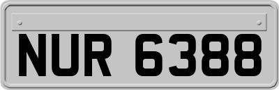 NUR6388