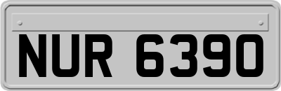 NUR6390