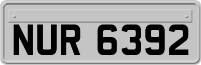NUR6392