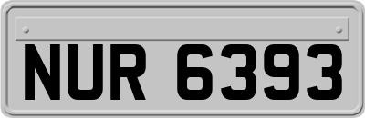NUR6393