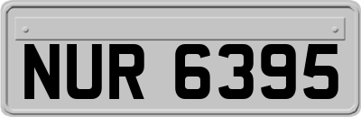 NUR6395