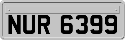NUR6399