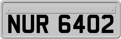 NUR6402