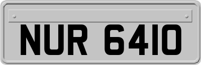 NUR6410