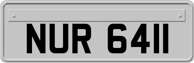 NUR6411