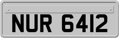 NUR6412
