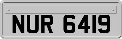 NUR6419