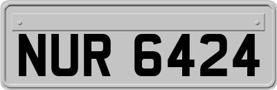 NUR6424