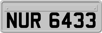 NUR6433