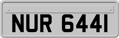 NUR6441