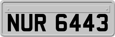 NUR6443