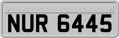 NUR6445