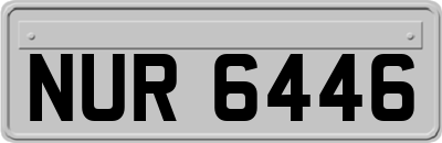 NUR6446