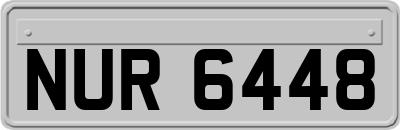 NUR6448