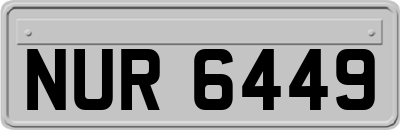 NUR6449