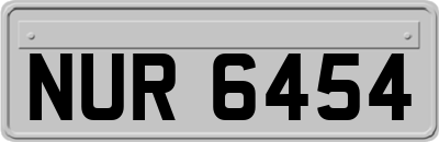 NUR6454