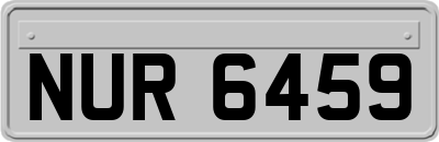NUR6459