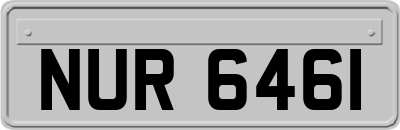 NUR6461