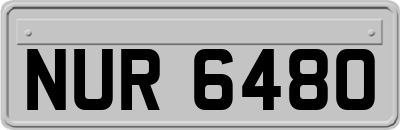 NUR6480