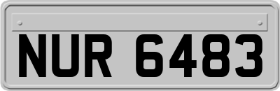 NUR6483