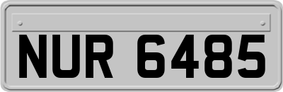 NUR6485