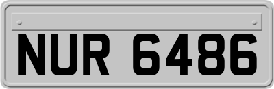 NUR6486