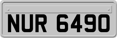 NUR6490