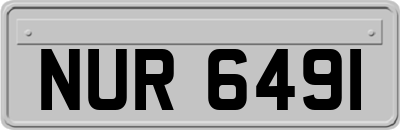 NUR6491