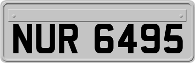 NUR6495