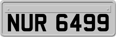 NUR6499