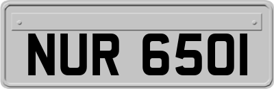 NUR6501