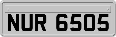 NUR6505