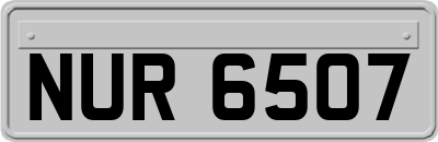NUR6507