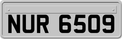NUR6509