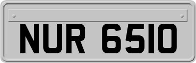 NUR6510