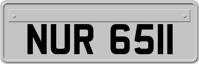 NUR6511