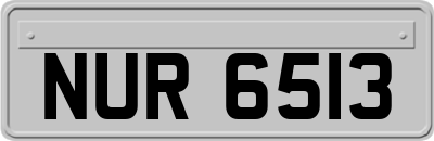 NUR6513