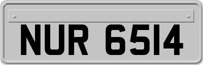 NUR6514
