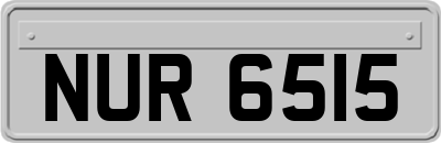 NUR6515