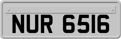 NUR6516