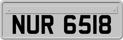 NUR6518