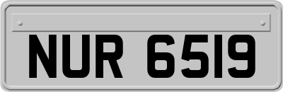 NUR6519