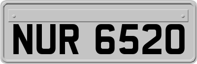NUR6520